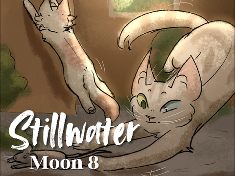 Moon 8 | Stillwater