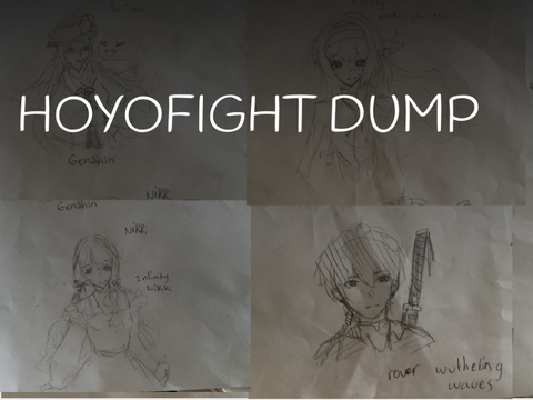 Hoyofight