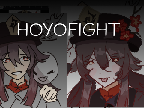 Hoyofight