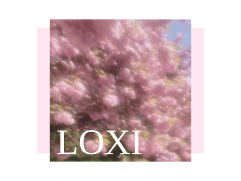 ♡ LOXI - UPDATED REF !!