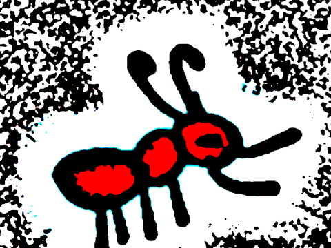 ANT and ANT gets weird