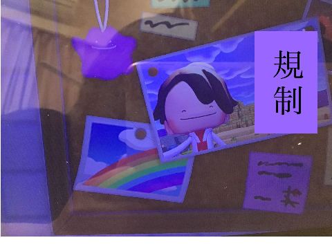 これがいろいろ大国の荒らしです