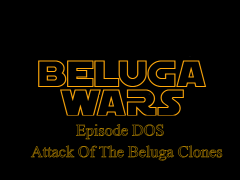 Beluga Wars: Episode DOS- Attack Of The Beluga Clones