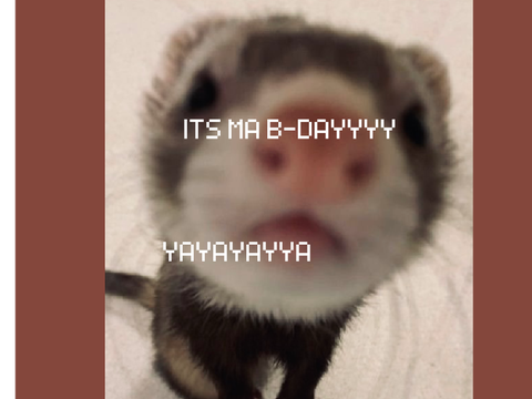 ITS MY BIRTHDAY