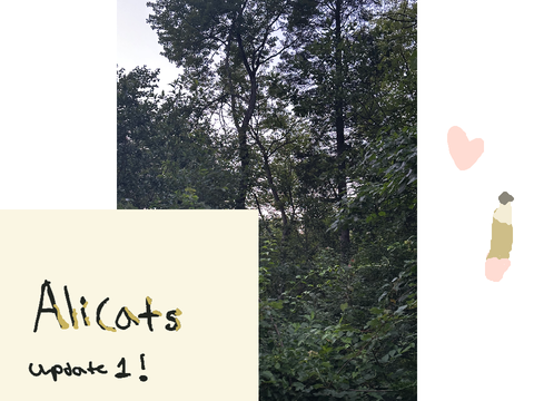 Alicats [1]