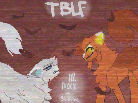 ✶III. SQUIRREL VS IVORY ✶