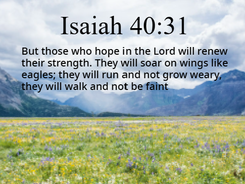 ˋ°•*⁀➷Verse of the week: 7/14