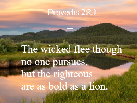 ˋ°•*⁀➷Verse of the week: 7/27