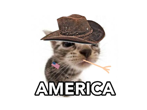 American memes 
