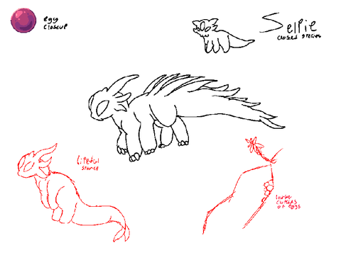 Zelpie species sheet