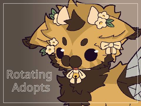 6 || rotating adopts || Open