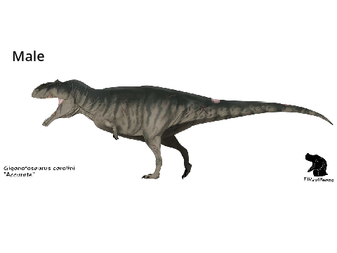 Can Someone Make These Giganotosaurus Vectors For Me