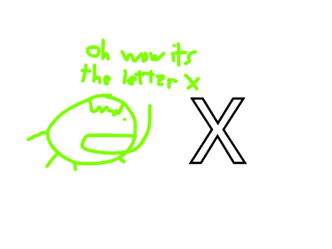 i have bird website