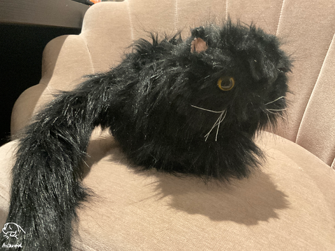 Cat Plushie