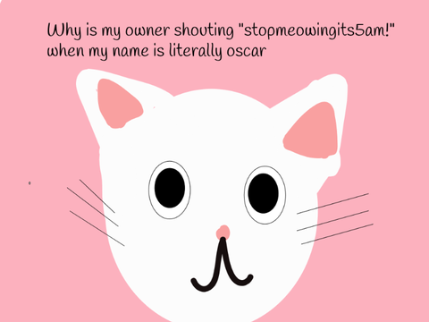 Why is my owner shouting 