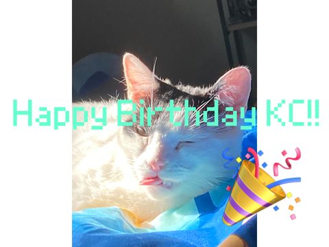 HAPPY BIRTHDAY KC!!