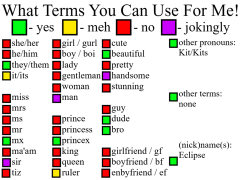 What Terms You Can Use For Me :> remix