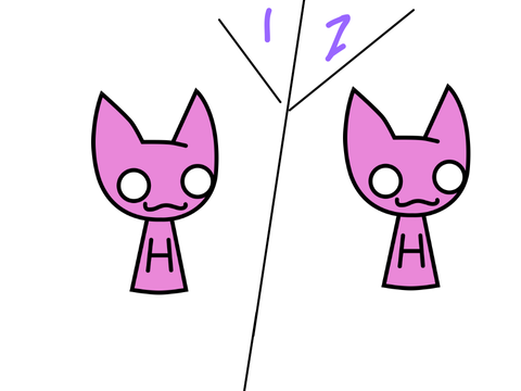 Element Cattos 2 cattos 