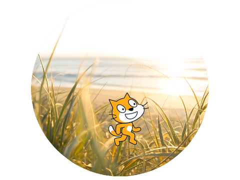 Chat with scratch cat!