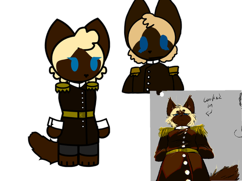 Zari Redesign