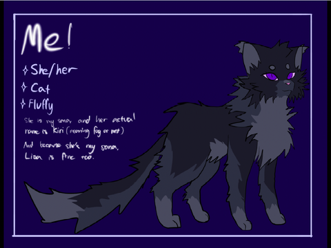 Sona update I guess