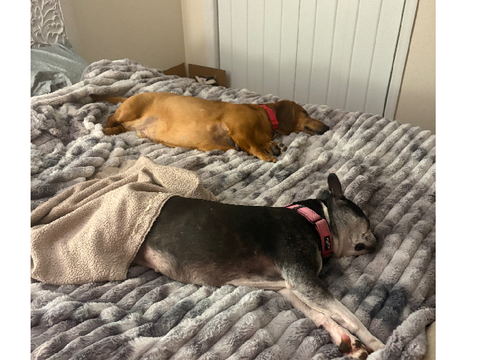 Look at my babies
