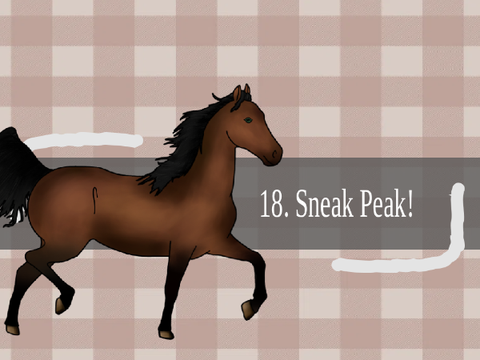 18. Sneak Peak!
