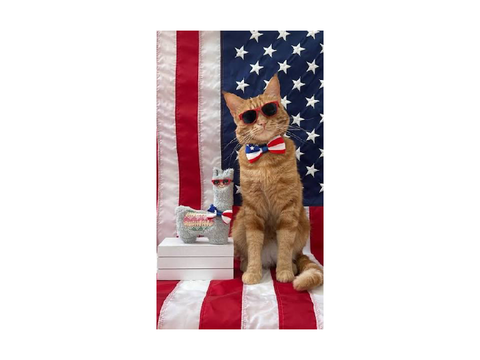 HAPPYY JULYY 4TH!!! B33
