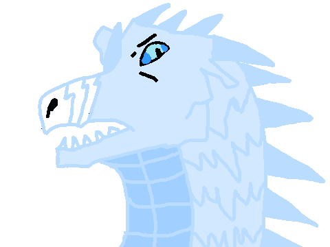 Narwhal WOF drawing