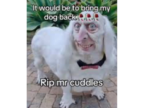.
