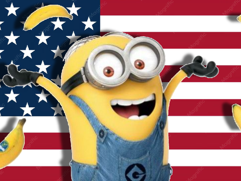 minion impression but its the us national anthem