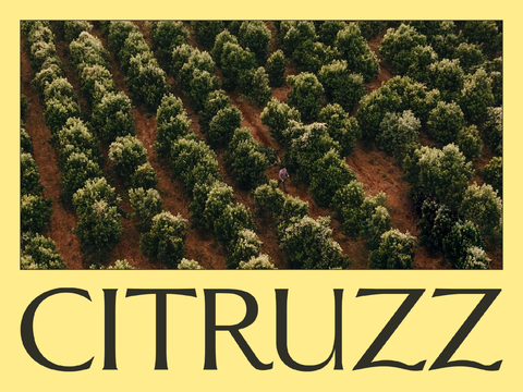 Citruzz