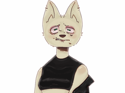 trackpad