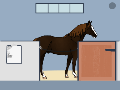 Aspen Grove Riding School | GRAND OPENING