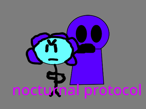 nocturnal protocol but my version