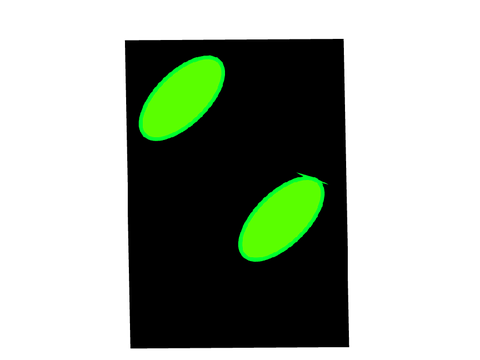 Abstracted NS