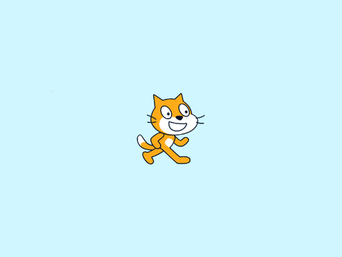 different scratch cats