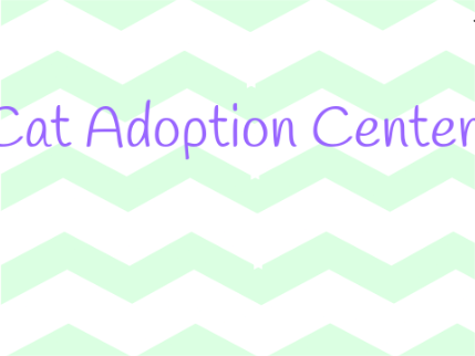 Cats adoption
