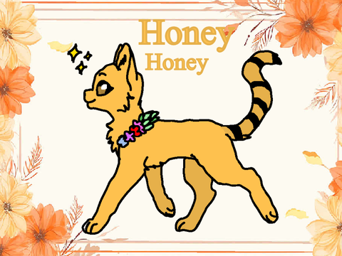 Honey DTAE