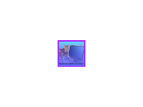 Profile pic for @ilovecatsandcod12