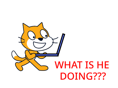 Scratch cat gets scammed
