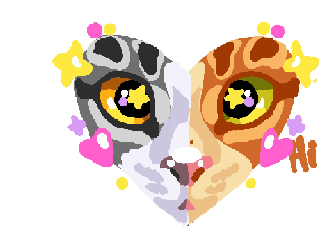 Cat star Drawing