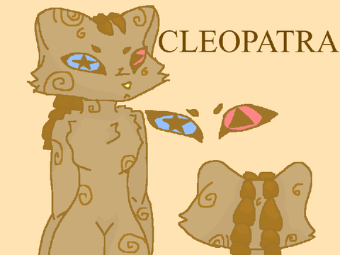 New OC (LAST ONE, DEFO)