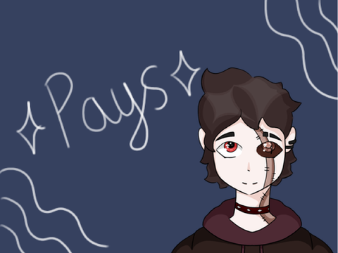 ☆Pays☆