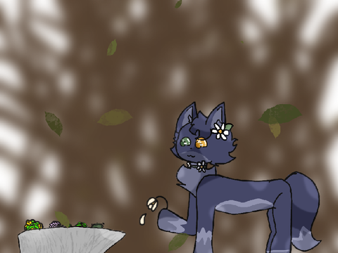 ATTACK!