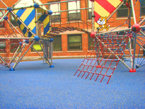 Cat at playground