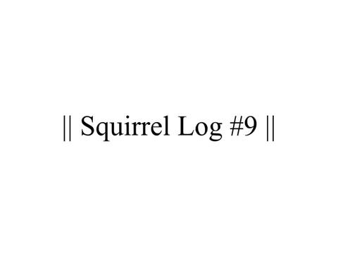 || Squirrel Log #9 ||