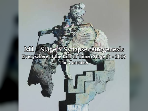 M1 - Stage 5 Synapse retrogenisis