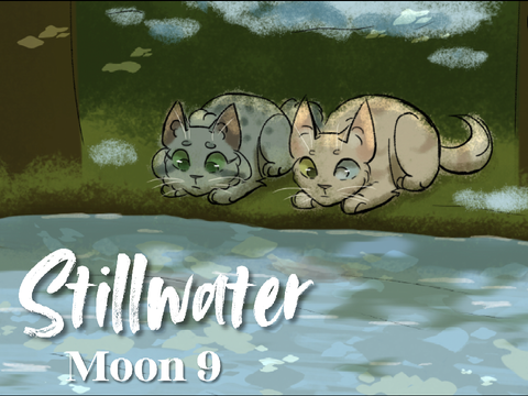 Moon 9 | Stillwater