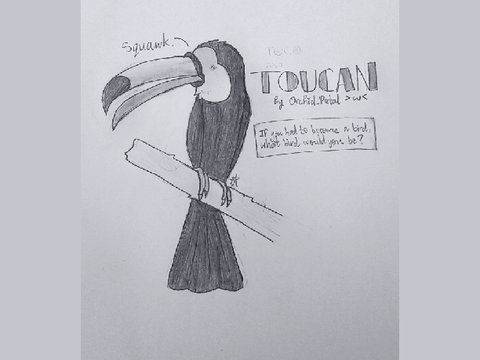 -{QUESTION OF THE MONTH}- ^w^ (July)